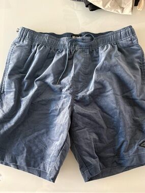 Billabong Slate Blue Corduroy Drawstring Shorts